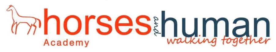 logos de los sitios dónde has podido encontrarte conPaula o material suyo